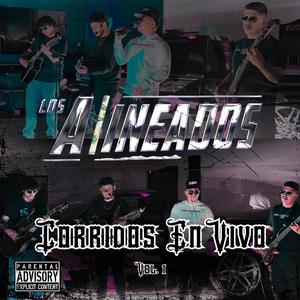 Debajo De los Laureles/ Por las Calles de Chihuahua (En vivo)