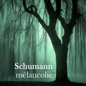 Myrthen, Op. 25 - 24. Du bist wie eine Blume (艺术歌曲《桃金娘》，Op. 25)