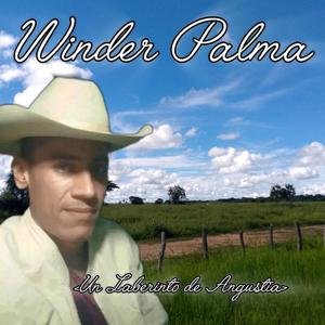 Un Laberinto de Angustia