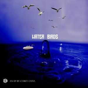 Water Birds