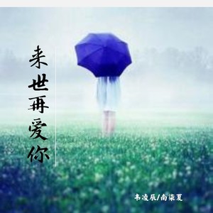 来世再爱你