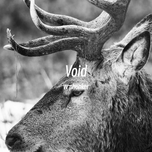 W phonker - Void (PHONK)