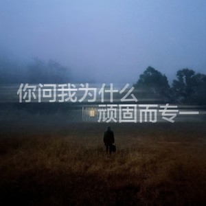 你问我为什么顽固而专一