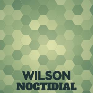 Wilson Noctidial