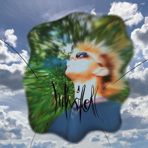 Individuell (Explicit)