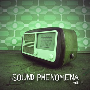 Sound Phenomena, Vol. 4 - Selection of Tech House