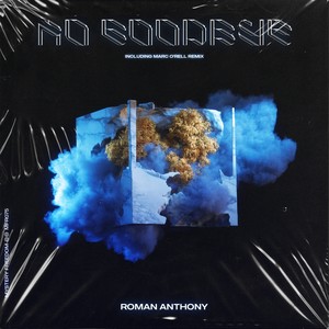 No Goodbye (Radio Mix)