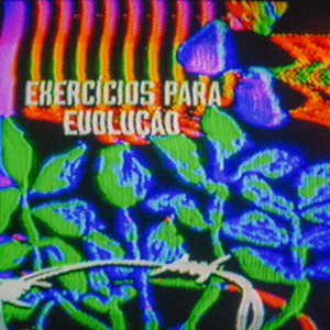 CAVALA RABUDA (Explicit)