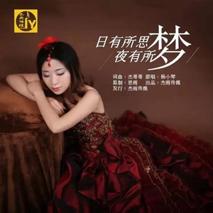 日有所思夜有所梦