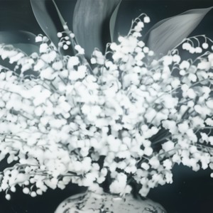 Reflection of your flowers