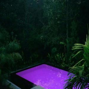 purple pool