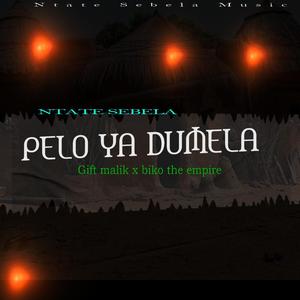 Pelo ya dumela (feat. Biko, Phuti & Gift malik)