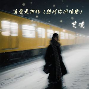 真爱是何物 (想找你问清楚)