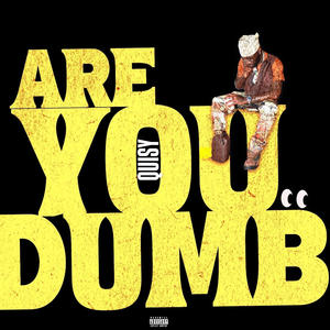 Are You Dumb (Explicit)