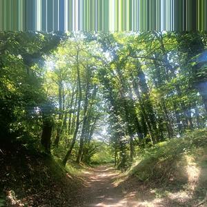 Brewtra 2022 (feat. Brewskiii)