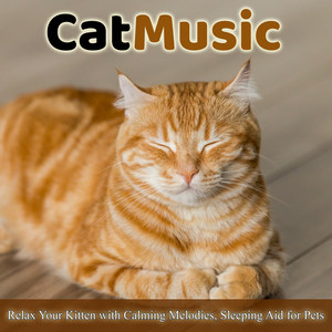 Cat Music - Relax Your Kitten with Calming Melodies, Sleeping Aid for Pets