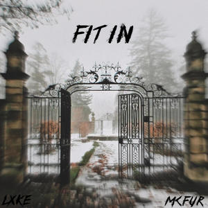 Fit In (feat. McFur)