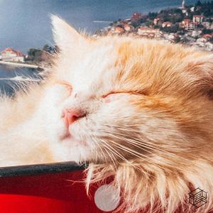 Lel - Faint Traces (feat. Anna)