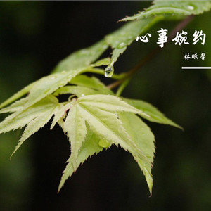 如果呢-林昕馨