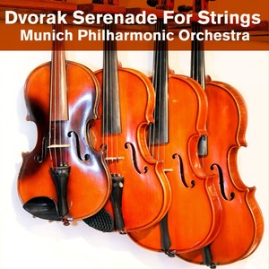 Serenade For Strings In E Major, Op.22 - Serenade for Strings in E Major, Op. 22: II. Tempo di valse (E大调弦乐小夜曲,作品22 - 第二乐章 圆舞曲速度)