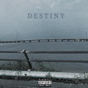 Destiny (Explicit)