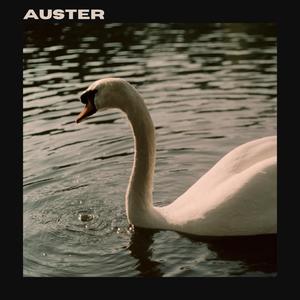 Auster (Explicit)