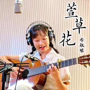 萱草花
