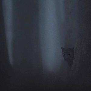 P.U.P (Play Ur Position) (Explicit)