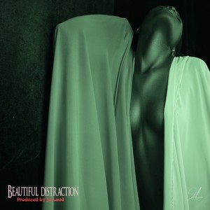Beautiful Distraction