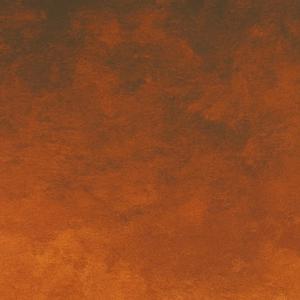 Echos of Shadows (Explicit)