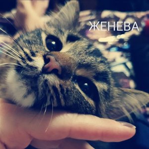 Космос