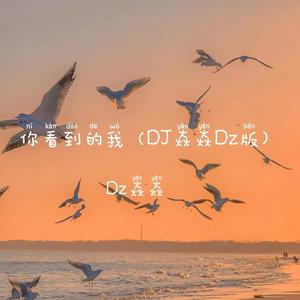 你看到的我 (DJ焱焱Dz版伴奏)