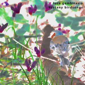 tuscany birdsongs