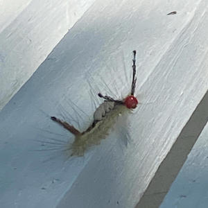 quit being sum u not XD (Explicit)