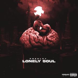 Lonely Soul