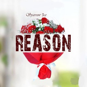 Reason