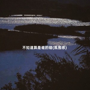 不知道算是谁的错 (氛围感)