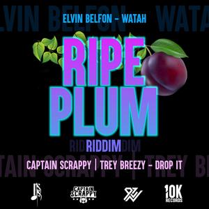 Ripe Plum Riddim (Drop It)