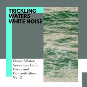 Trickling Waters White Noise - Ocean Water Soundtracks for Focus and Concentration, Vol.2