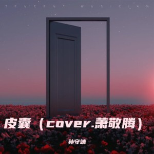 皮囊（cover.萧敬腾）