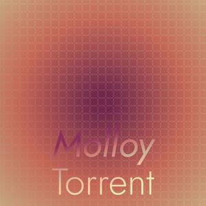 Molloy Torrent