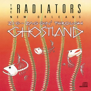 The Radiators - Dedicated To You (Album Version)