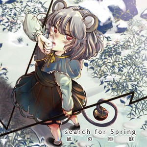 search for Spring