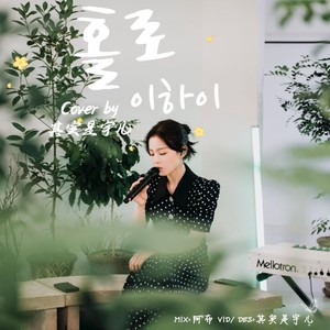 홀로