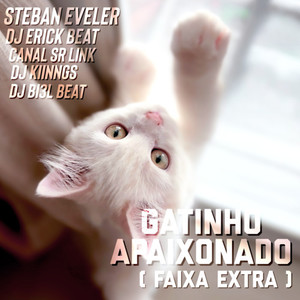 Gatinho Apaixonado Slowed (Remix)
