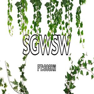 SGWSW (feat. 808Kii) [Explicit]