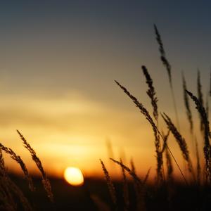 Behind The Scars (feat. Imelda Lizal)