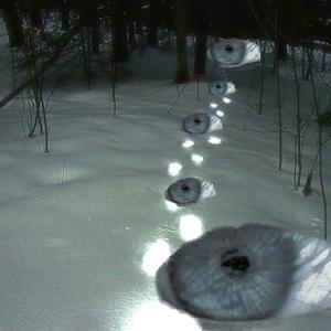 Grudge & Dispair (Explicit)