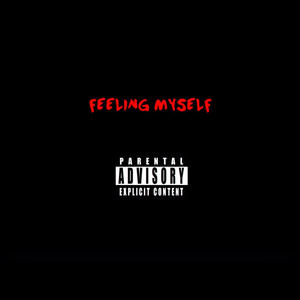 Feeling Myself (feat. Script) [Explicit]