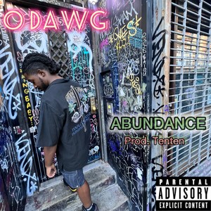 ABUNDANCE (Explicit)